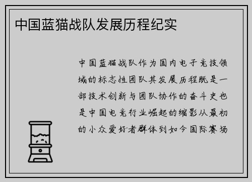 中国蓝猫战队发展历程纪实