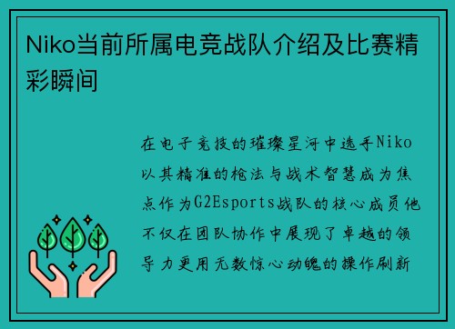 Niko当前所属电竞战队介绍及比赛精彩瞬间