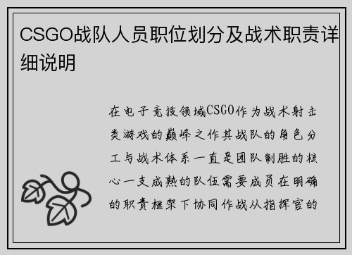 CSGO战队人员职位划分及战术职责详细说明